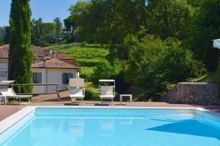 I Cipressi by Halldis - Colognola ai Colli - 1