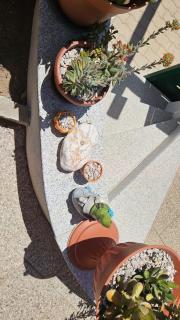 Manu House - Olbia - 4
