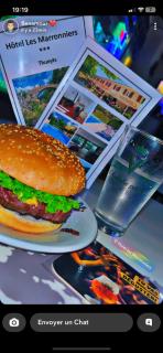 HOTEL LES MARRONNIERS - Thueyts - 0