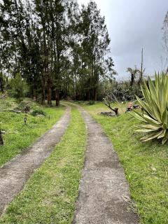 Bungalow cosy, détente dans la forêt - WABI - 5