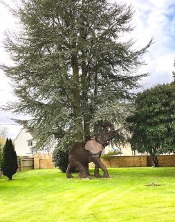 Southlands B&B - 5