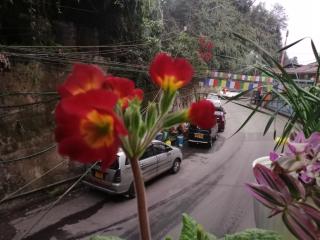 Bina Home stay Darjeeling - Darjeeling - 7