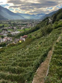Guest House nel Vigneto - Traona - 9