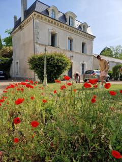 Maison de maître Azay Le Rideau - 8 personnes - 5