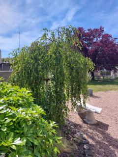 Maison de maître Azay Le Rideau - 8 personnes - 4
