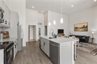 Luxury Loft Style Apartment - Austin - 1