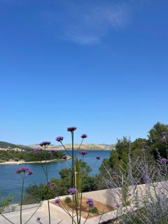 Turtle Bay - Bilice - 2