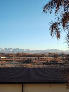 Apartament Jodełka - 3