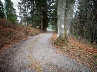 Zähringer Hütte - Menzenschwand-Hinterdorf - 3