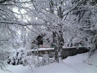 Zähringer Hütte - Menzenschwand-Hinterdorf - 9