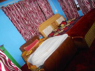 Alamdar guest house - Srinagar - 8