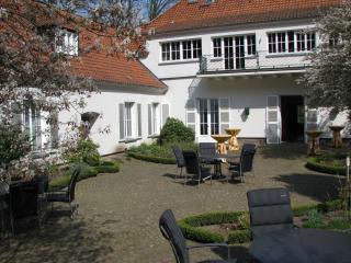 Gästehaus Villa Wolff - Bomlitz - 4