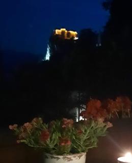 UpArt Bled - Bled - 4