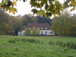 Gästehaus Villa Wolff - Bomlitz - 5