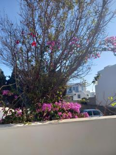 Charmante ferienwohnung - Tinos - 2