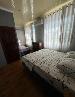 Green house - Nukus - 5