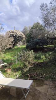 Turisti nella natura in città d'arte - Florenz - 4