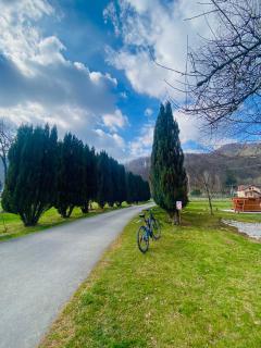 Pensiunea Florina - Poiana Mărului - 8