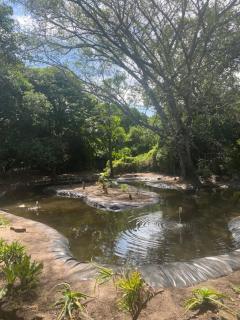 La Cabane Garden Cottage - Gqeberha - 3