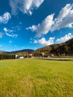 Pensiunea Florina - 7