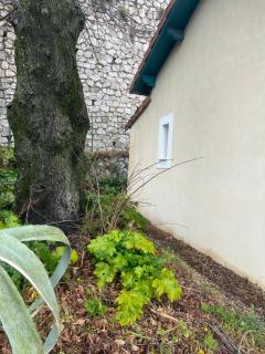 Adorable maison vue mer proche monaco - La Turbie - 8