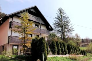 Villa Bohinca - Bohinj - 9