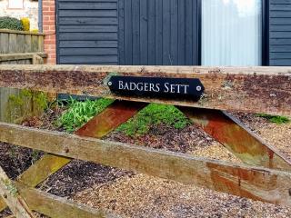 Badgers Sett Brook - Brook - 2