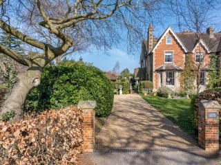The Garden Studio - Dorking - 3