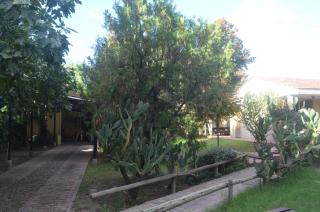 Hermosa casa en zona de bodegas de Mendoza - 3