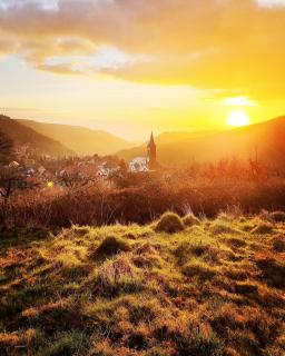 A desire for Bohemia, well-being and massages! - Grendelbruch - 1