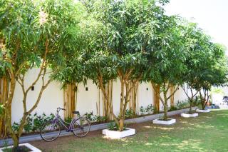The Bamboo Tree Transit Hotel - 3