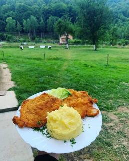 Pensiunea Florina - 2