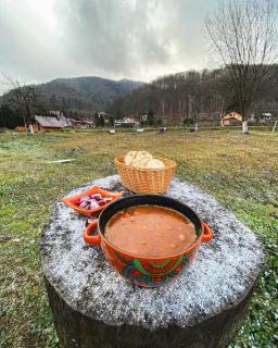 Pensiunea Florina - Poiana Mărului - 4