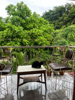 Grand 1Bhk 8 Apartment by Natures Haven - Vagator - 6