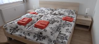 Viazo Apartment - Dolný Kubín - 6