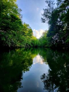 Riverstone Cottage A Cozy Riverfront Retreat - Dahlonega - 1