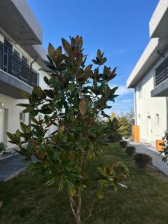 Donilads Properties - Home Everywhere, Relax & Nature Escape - 6