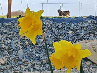 Lakeview farm - - 3