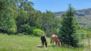 Cabaña del Vigía - 4