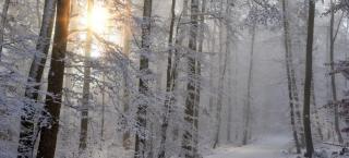 Test - Ratisbona - 2