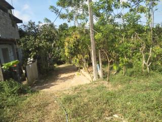 Paddy view guest - Gonapola - 8
