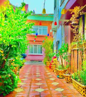 Hagia Sophia Apartment - 7