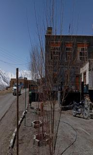 Sunflower Homestay By StayApart - Kibar - 4