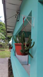 Casa Luna - 5
