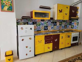 Papillon d'Albanie - Golem - 9