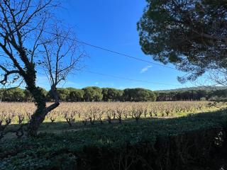 Villa lormarin - Saint-Tropez - 3