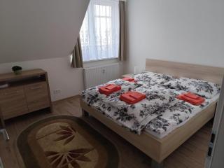 Viazo Apartment - Dolný Kubín - 7