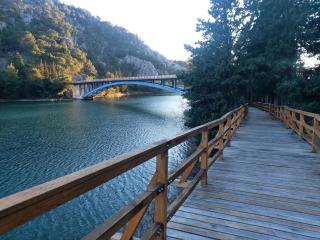 Apartman Arija-Pino - 6