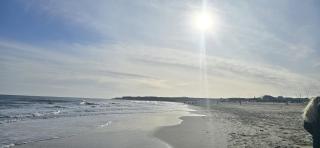 South Shields Costal Rooms - South Shields - 7