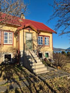 Nygjerdet Gossen -  - 7